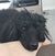 Lloyd Bittner's profile image