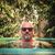 Christoph Winkelhausen's profile image