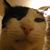 Melissa Griego Fisher's profile image