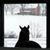 Deb Gaster Yockey's profile image