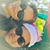 Belle Lorenzo's profile image