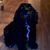 Barbara Jackilyn's profile image