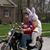 Steve Browning's profile image