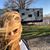 Julie VanGoethem Lund's profile image