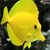 Jerry Barcelow's profile image