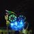Kimberly Benns's profile image