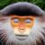 Nicholas Serra's profile image