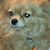 Kathleen Galo's profile image