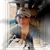 Lisa Gail Cordelle's profile image