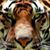 Sharon Beaulieu Tardiff's profile image
