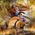 Carine Bollen's profile image