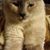Mary Hoskins's profile image