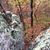 Lornadoone Gardner Myers's profile image