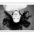 Marilyn Vigneault's profile image