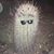 Daniel Belisle's profile image