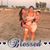 Esmeralda Salgado's profile image