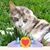 Kristy Meagher's profile image