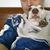 J.c. Kelly's profile image
