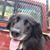 Stephanie Bryant's profile image