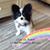 Barbara Ann Pitera Timko's profile image