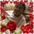 Janie Williams's profile image
