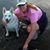 Candii Cannon Dana's profile image