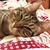 Adele Bonaduce's profile image