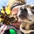 Ashlyn Gautreaux's profile image