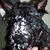 Kathy Hunt's profile image