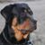 Sonia Hernandez-Hogeland's profile image