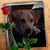 Arelis Edelman's profile image