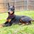 John Engstrom's profile image