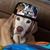 Julie White's profile image
