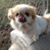 Garry McGrath's profile image