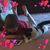 Cheryl Hogan's profile image