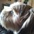 Mary Helmer Schreiber's profile image