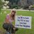 Sharon DePaolo-Record's profile image