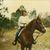 Sue Draughon Mitchell's profile image