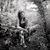 Dalena Carroll's profile image