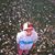 Carlos Ruiz's profile image