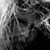 Nadezhda E-t's profile image