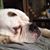 Amy Thomas's profile image