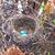Terri Ann Malin's profile image