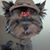 Merry Wilson's profile image