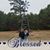 Stephanie Davidson's profile image
