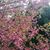 Karen Smith Jacobs's profile image
