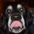 Timothy Haines's profile image