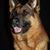 Michelle Ouellette Wallace's profile image