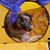 John J Burns's profile image