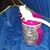 Kathy Beckworth's profile image
